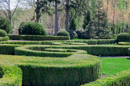 在明亮的夏日,在蓝天下的现代公园里种植绿色植物和树木照片