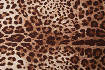 纹理织物和着色时尚的天然丝豹织物从顶部豹纹织物背景的观点