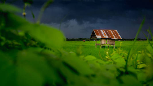 泰国农村人民农田中的茅屋和阴天