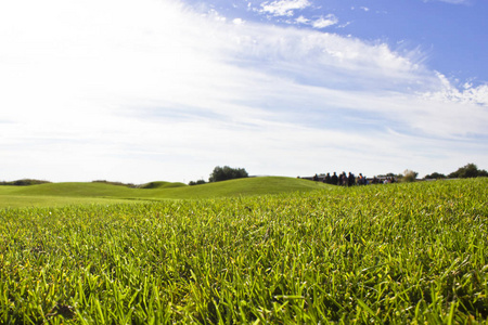 贝莱克球场田野上的青草。蓝天, 阳光明媚