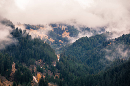 保加利亚罗多皮山的秋天风景