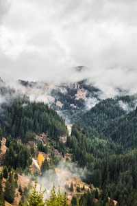 保加利亚罗多皮山的秋天风景