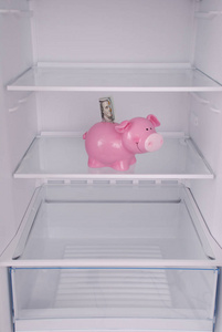 在空的干净的冰箱里面存钱罐 金钱箱子