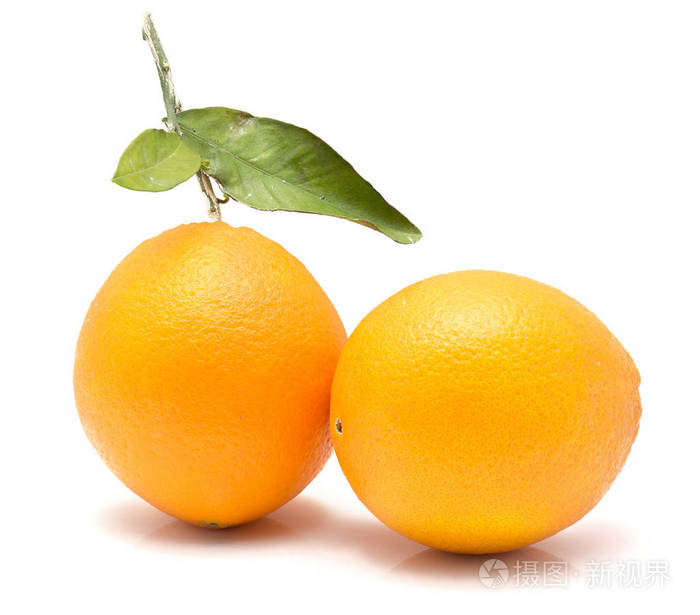 两个新鲜的橘子和绿叶隔离在白色的背上