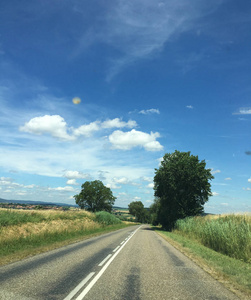 在夏季的蓝天下, 空旷的道路附近的黄田景观和树木