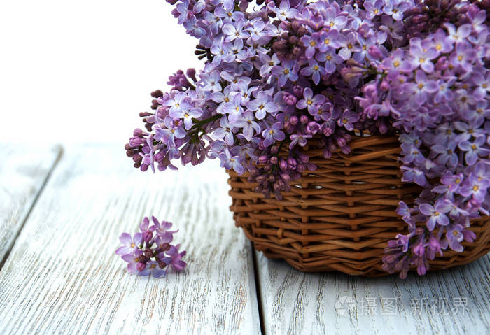 在篮子里的丁香花