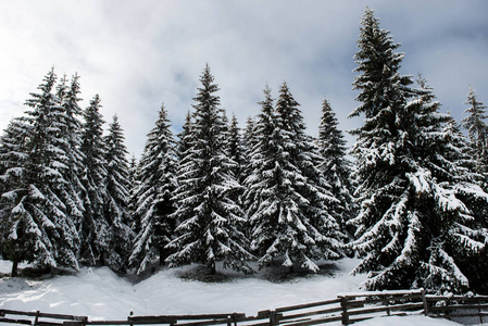 冬季冰雪景观的圣诞背景