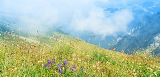 在山峰和狭窄的蛇形之间的峡谷全景