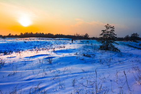 在冬日白雪皑皑的森林里的夕阳