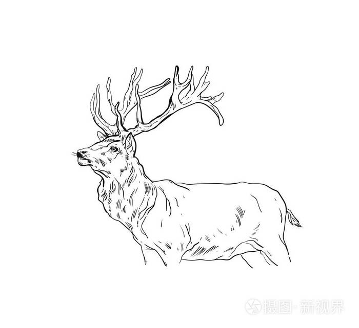 手绘矢量抽象趣味卡通快乐圣诞时光图画插图设计元素与斯堪的纳维亚鹿