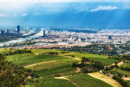 维也纳城市景观鸟瞰图
