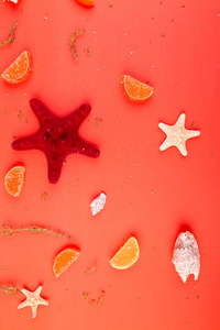 红海星背景。暑假的概念。平躺