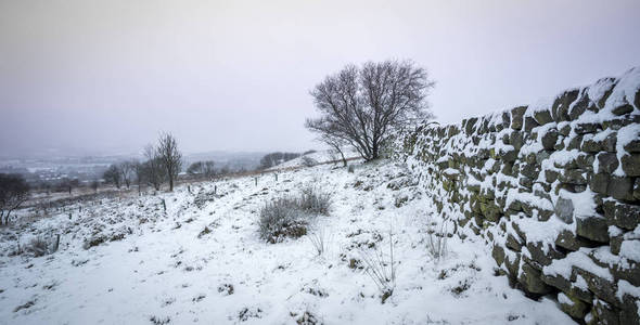 一个下雪的冬季景观场景