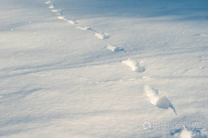 在寒冷的早晨, 在新鲜的雪地上的脚印特写镜头.阿尼马