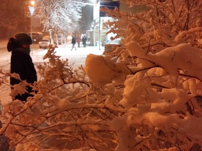 在乌克兰基辅的夜晚, 沉重的鼻雪