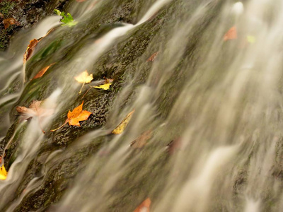 测流堰在山涧。五颜六色的叶子在冰冷的暗水中的石头上。闪亮的气泡