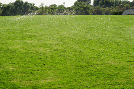 在大自然中, 青草浇灌草坪溅水