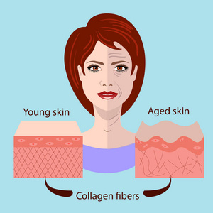 医学和美容照片中的病媒脸和两种皮肤年龄和青年