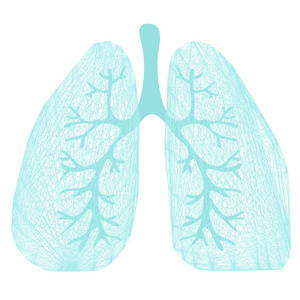肺的符号。呼吸。弓步练习。肺癌 哮喘 肺结核 肺炎。呼吸系统。世界防痨日。世界肺炎日。卫生保健