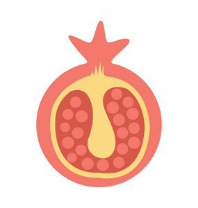 石榴矢量图标图片