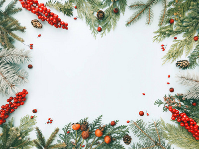 冬季背景。 由圣诞杉云杉苏贾树枝红色浆果松果组成。 平躺顶部视图复制空间。 圣诞贺卡的概念。