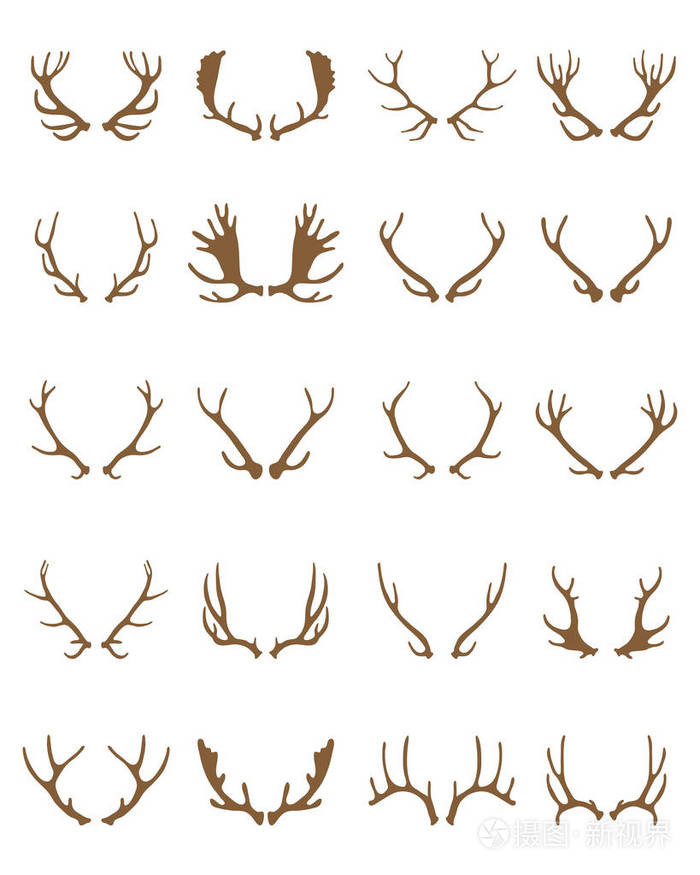 鹿角的金色轮廓