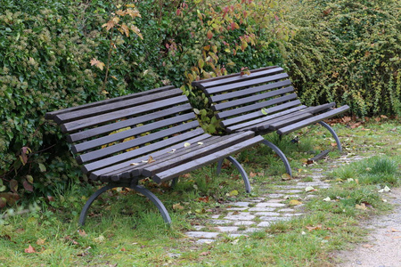 秋天在公园里枫叶躺在长凳上
