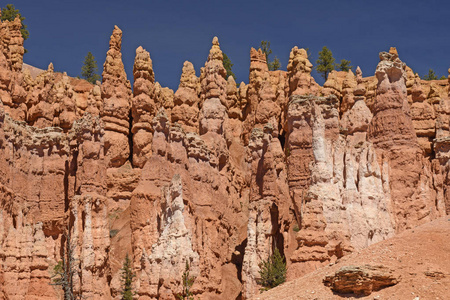 布莱斯峡谷 Hoodoos