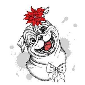 八哥犬素描手绘矢量狗照片