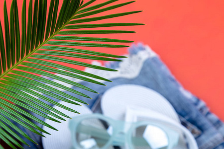 热带背景棕榈树树枝模糊的女人的东西配件到海滩季节