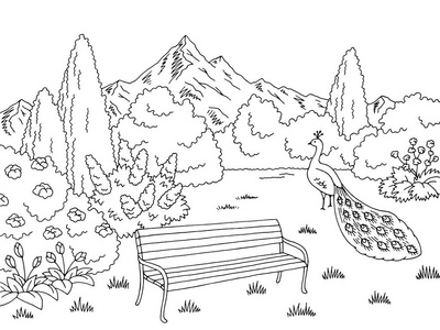 花园图形黑白景观素描插图照片