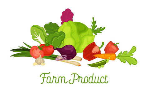 叶白菜,多汁西红柿,脆胡萝卜,甜甜菜,胡椒,青莴苣和辛辣韭菜卡通矢量