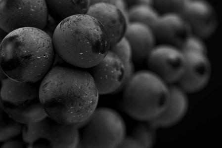 封闭, 成熟 darck 葡萄浆果在黑色背景上分离