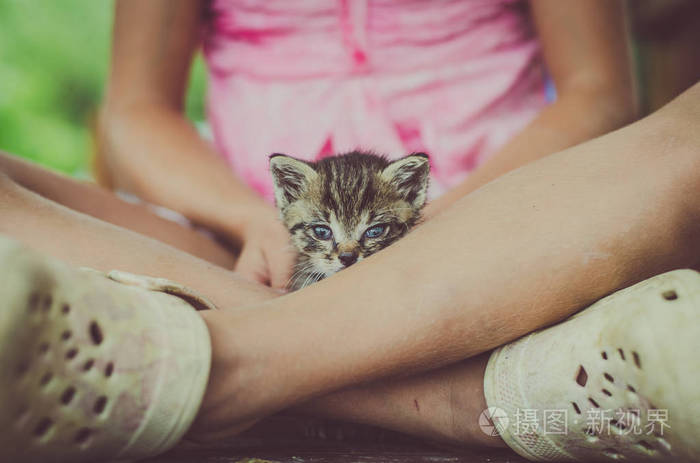 可爱可爱的小猫在小女孩手里