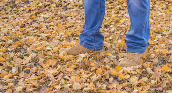 自拍自己的脚在牛仔裤，在一双皮革橙色靴子上一堆落下来的黄色叶子。 秋天在公园散步。