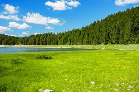 高山湖附近景观