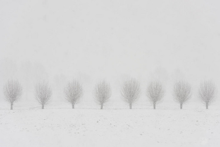 波拉德雪 Langbroek