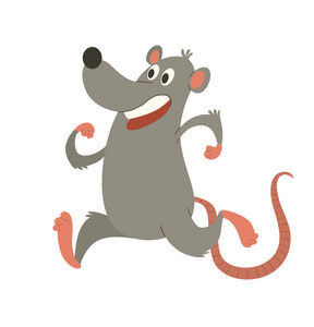 滑稽的灰色老鼠跑某处照片