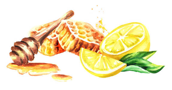 蜜饯手绘图片-蜜饯手绘素材-蜜饯手绘插画-摄图新视界