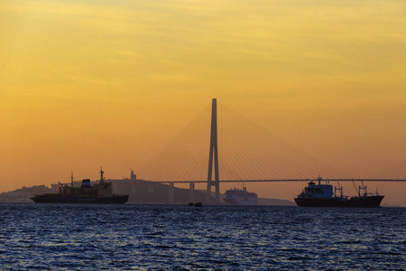 s longest cablestayed bridge, and the Russky Russian Island i