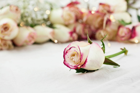 白色和红色的玫瑰与柔和的仙女灯