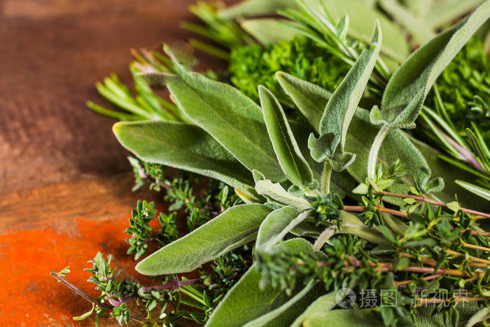 新鲜意大利厨房香草-百里香, 迷迭香, 鼠尾草, 欧芹照片-正版商用图片