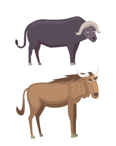 羚羊和水牛野生动物园孤立插图