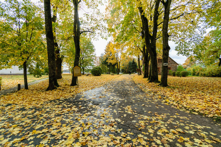 农村的秋天是空的路。砾石表面