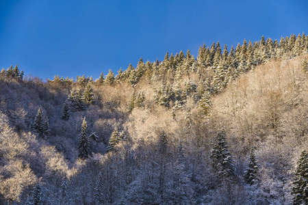 冬天美丽的山景观山間村美風景