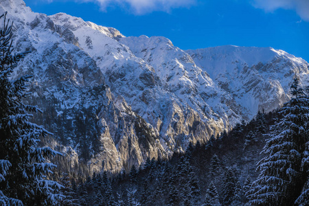 美丽的冬季风景与喀尔巴阡山尼 Craiului 山
