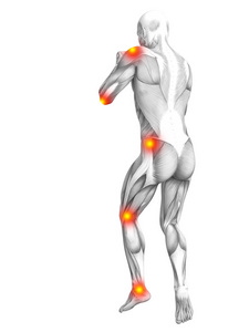 概念人体肌肉解剖红色和黄色热点炎症骨质疏松运动概念