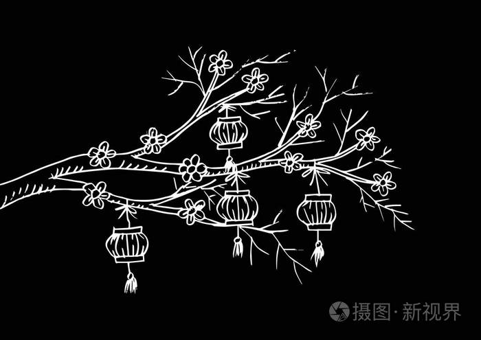 中国灯笼挂在樱桃树上的素描