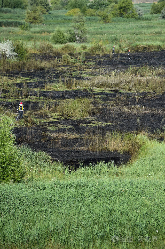 自然公园中熄灭的火