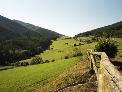田园诗般的绿色山谷与木栅栏的前景